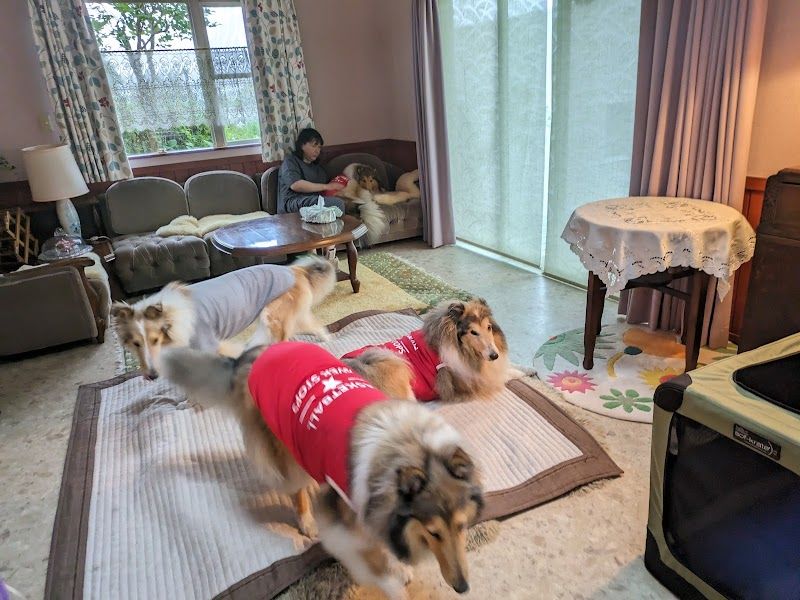 かたやぶりの写真 3