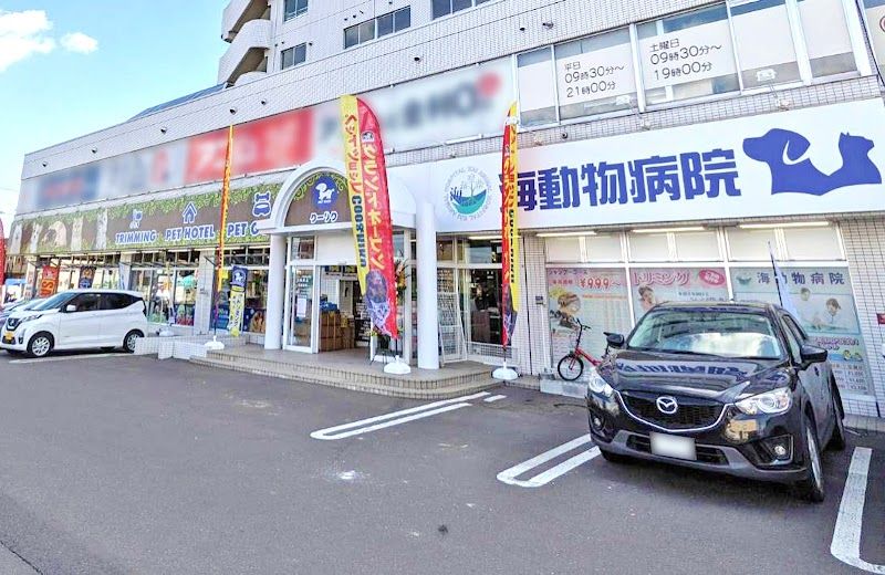 ペットショップCoo&RIKU 札幌東店の写真 1