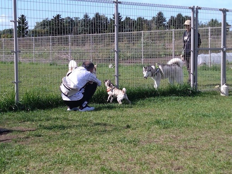 PEBOドッグパークの写真 1