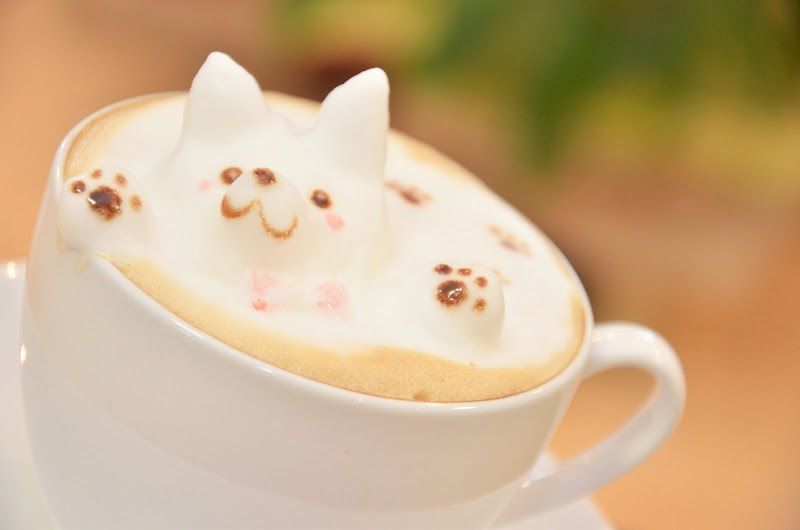 しろいぬカフェの写真 2