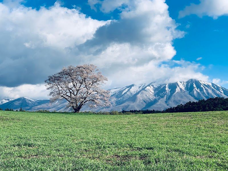 小岩井農場の写真 2