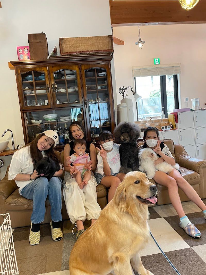 犬カフェ カタノダプラスの写真 2