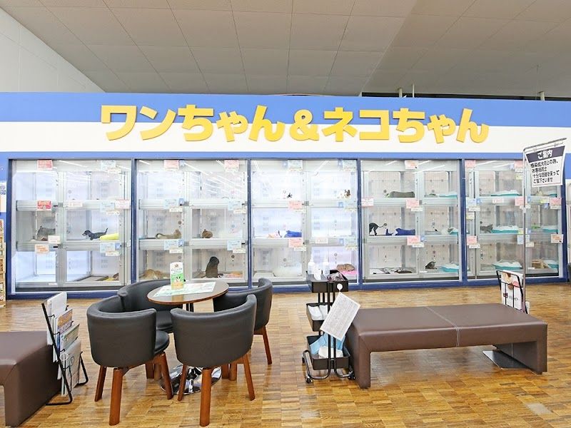 ペットショップCoo&RIKU アヤハディオ水口店の写真 2