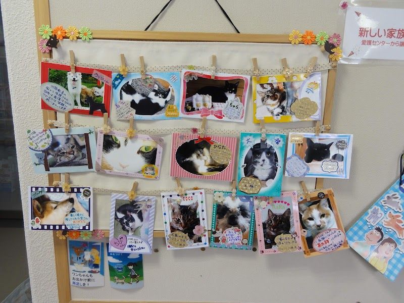 旭川市動物愛護センター あにまあるの写真 3