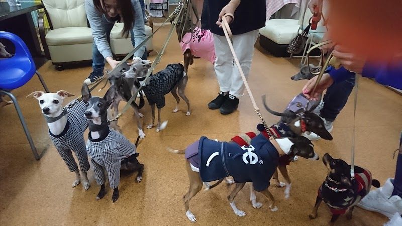 ドッグカフェ&サロン ハッピーわんの写真 3