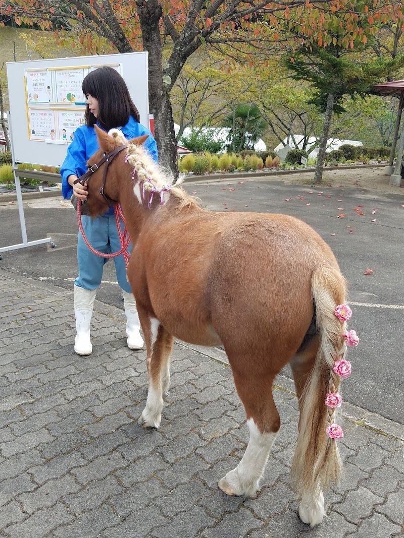 宮城県動物愛護センターの写真 2