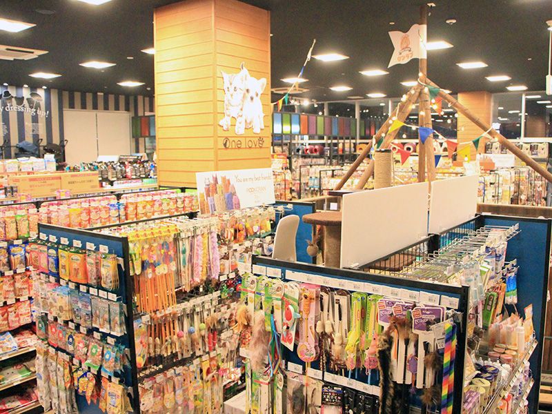ペットショップワンラブ イオンタウン名西店の写真 2