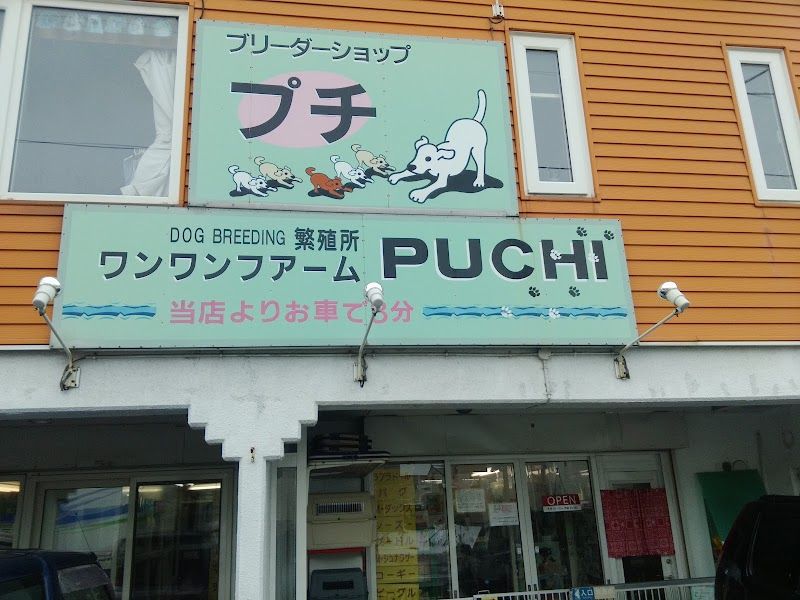 ブリーダーショップ プチの写真 2