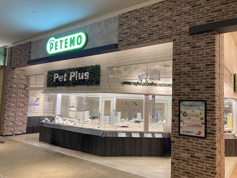 ペットプラス mozoワンダーシティ店の写真 1