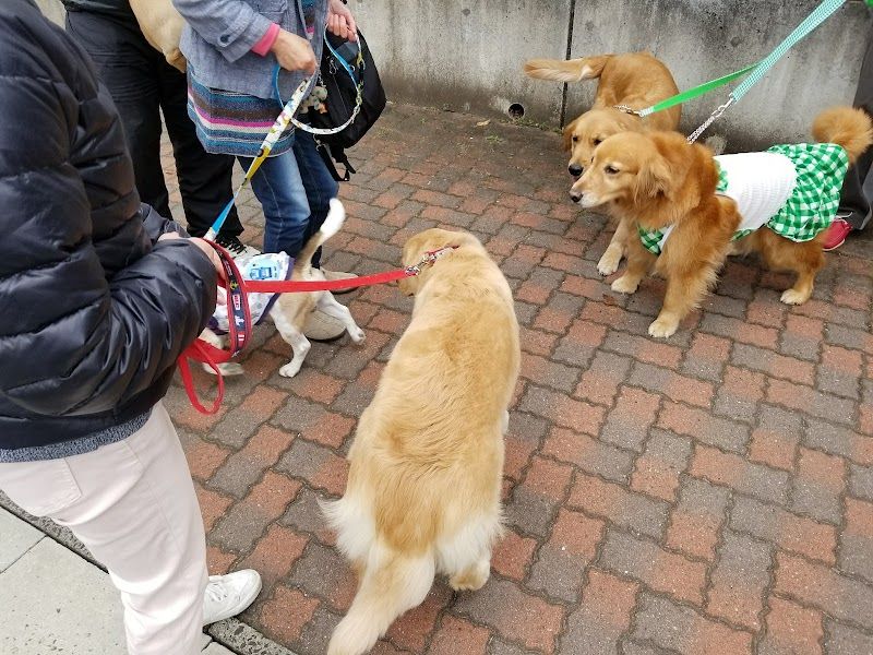 リフドッグクラブの写真 2