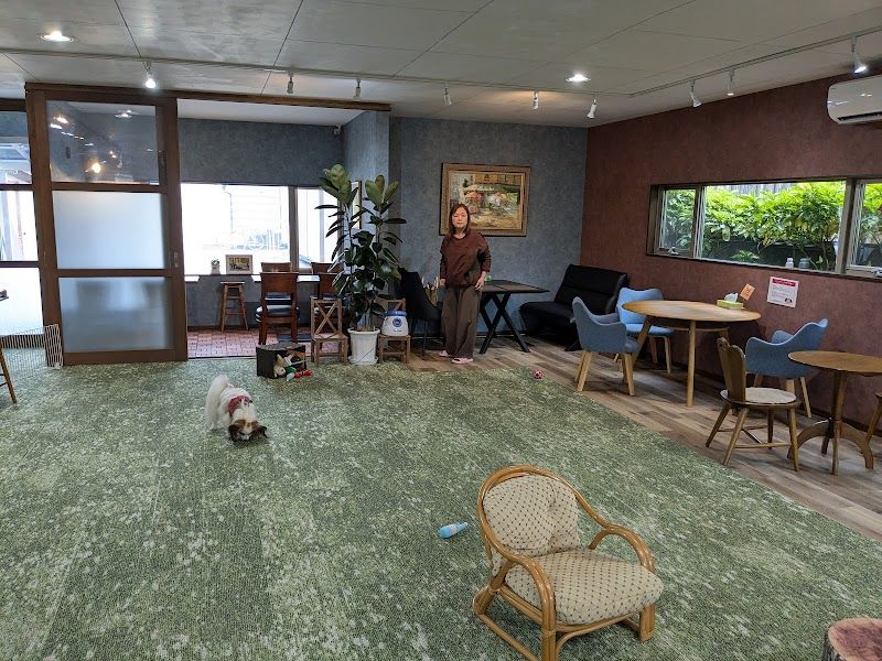 DOGRUNcafeプチ・プチの写真 1
