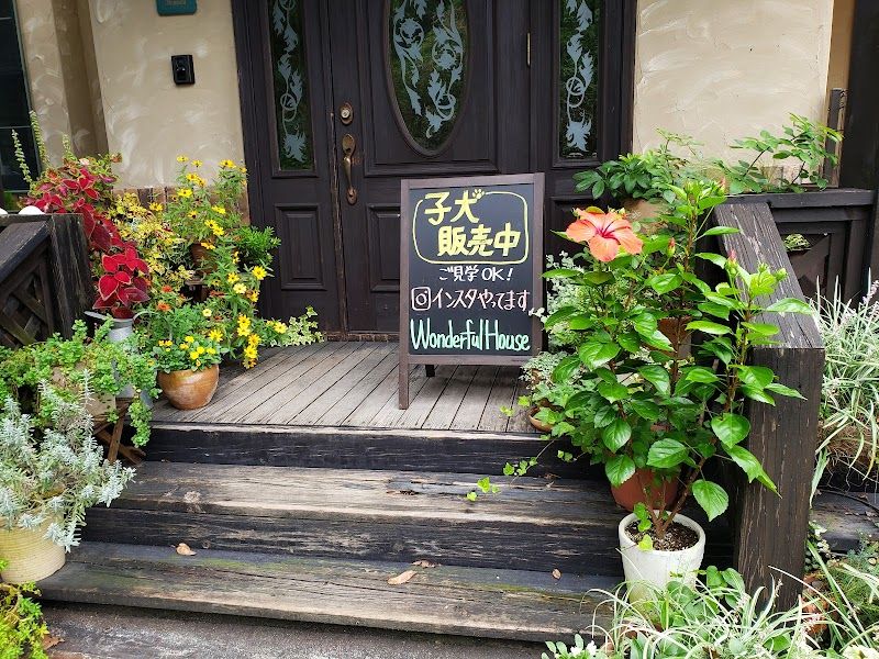 Wonderful Houseの写真 1