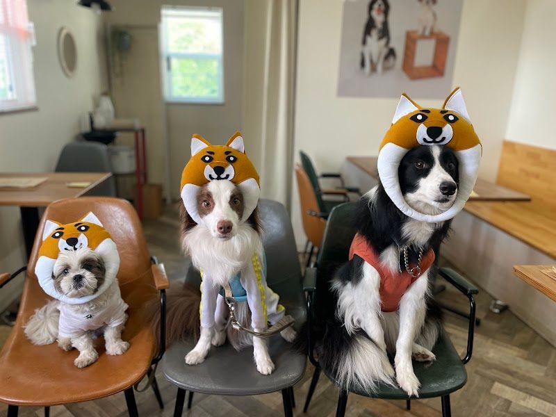 dogcafe&run douxgardenの写真 3