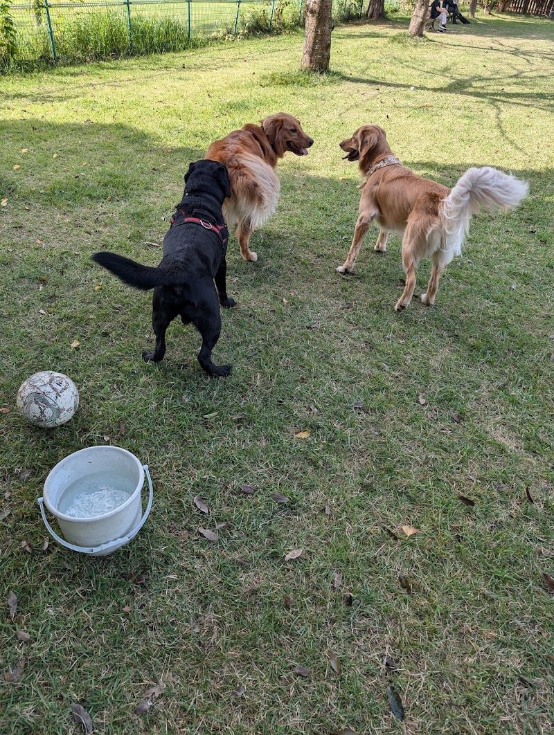 Doggy Park BELL HOUSE ドギーパーク ベルハウスの写真 3