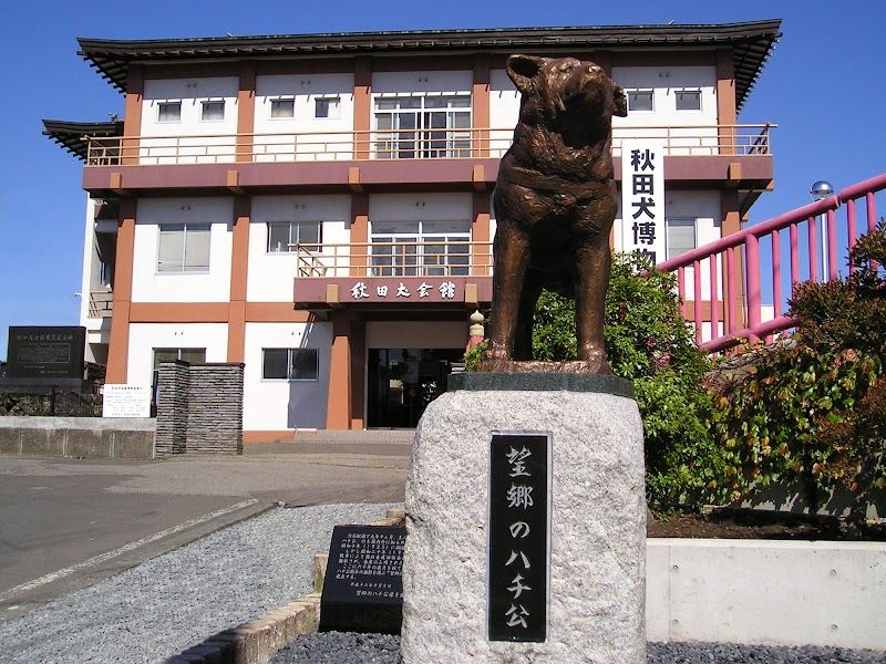 秋田犬会館の写真 1