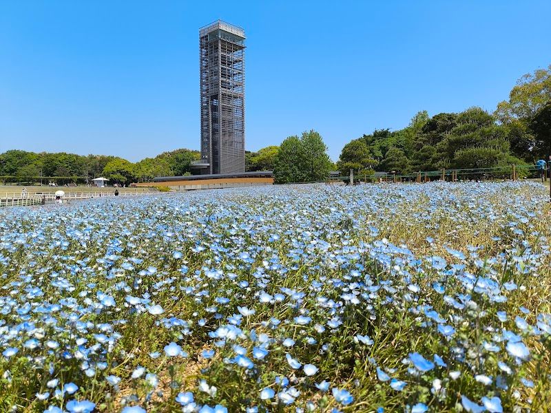 浜名湖ガーデンパークの写真 2