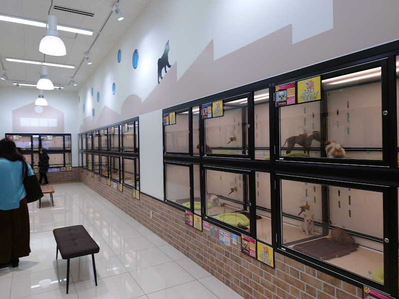 ペットショップワンラブ 名古屋守山インター総本店の写真 3