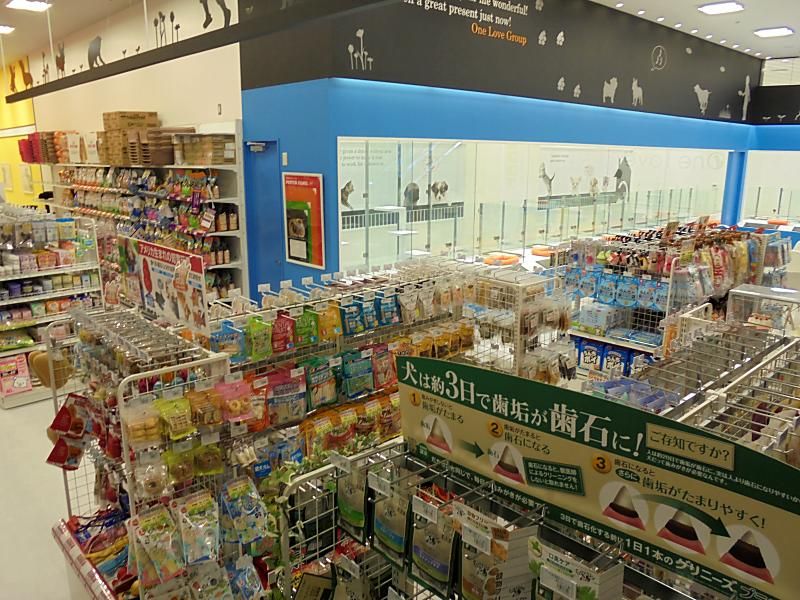 ペットショップ ワンラブ イオンモール盛岡店の写真 2