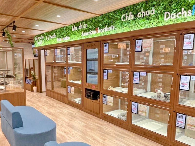 ペットショップCoo&RIKU 一関店の写真 3