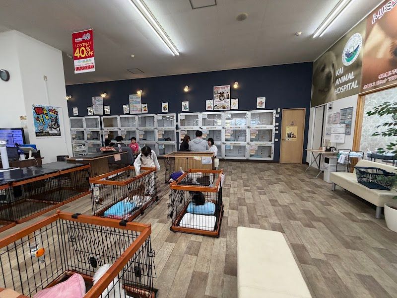 ペットショップCoo&RIKU 石巻店の写真 2