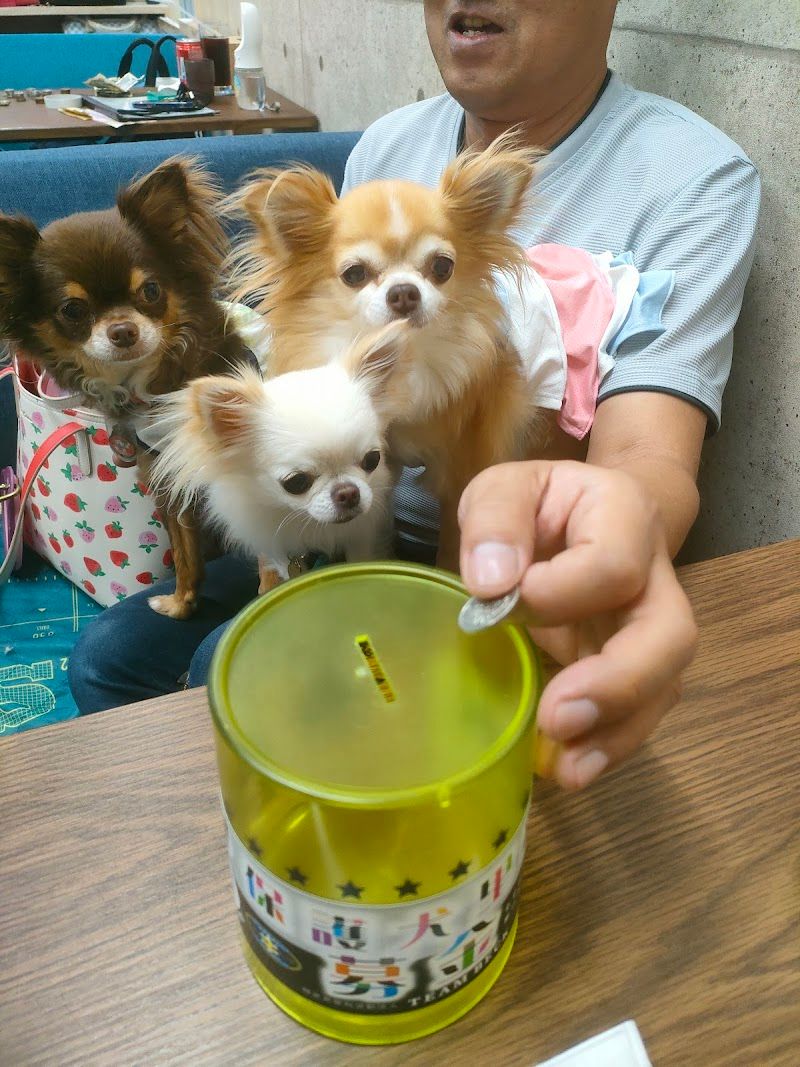 ベックの写真 3