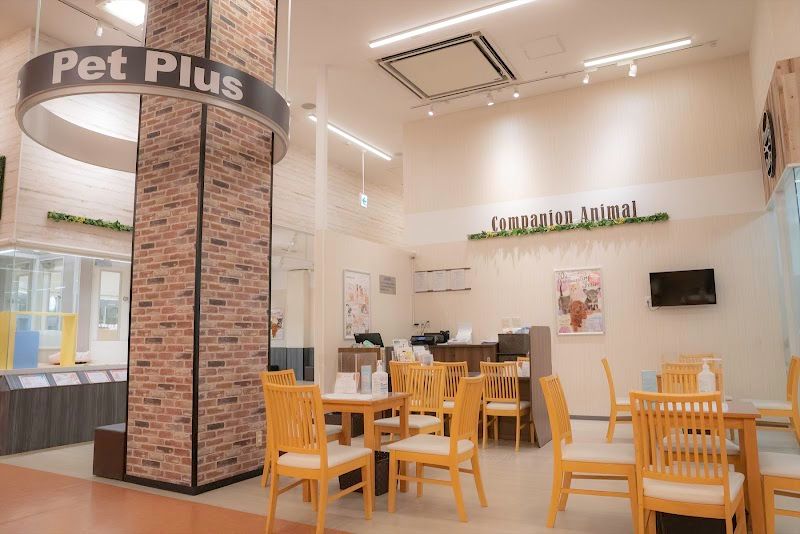 ペットプラス mozoワンダーシティ店の写真 2