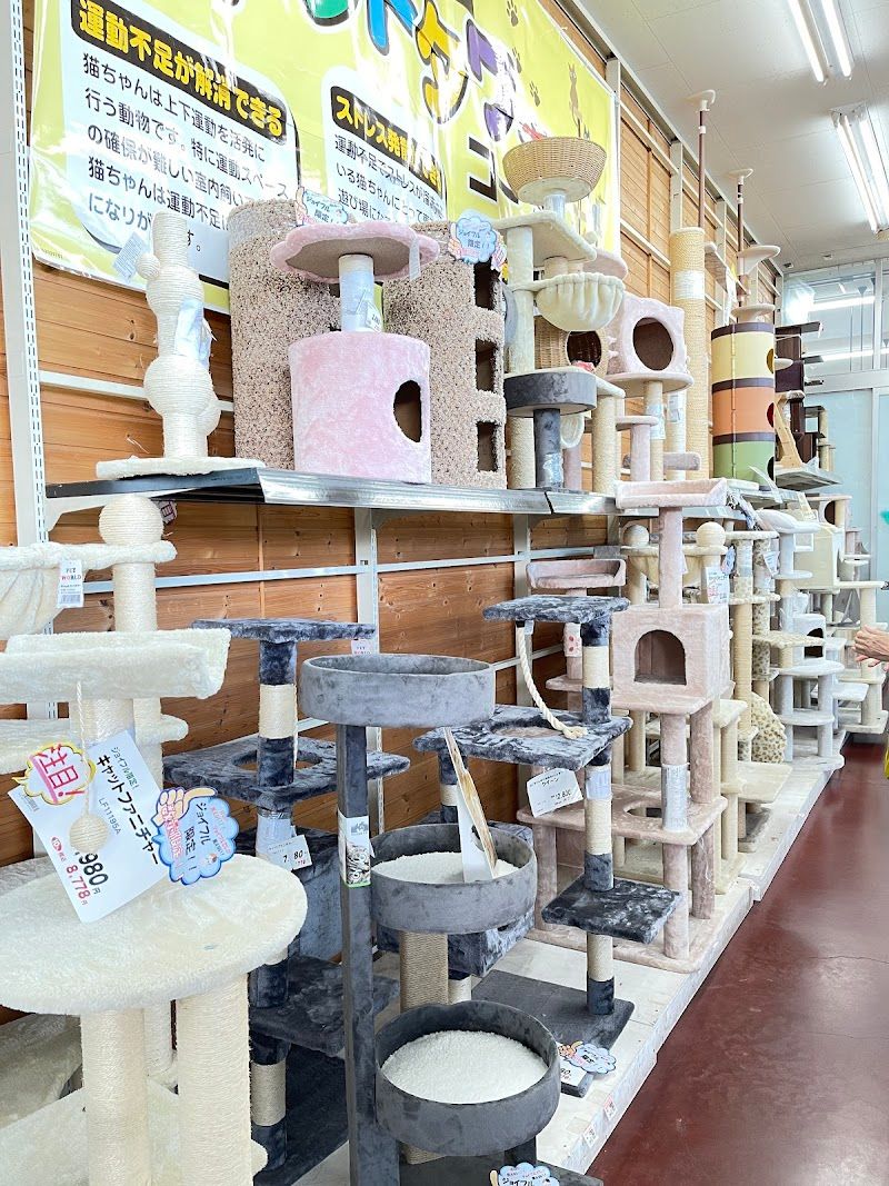 ジョイフルエーケー屯田店 ペットワールドの写真 3