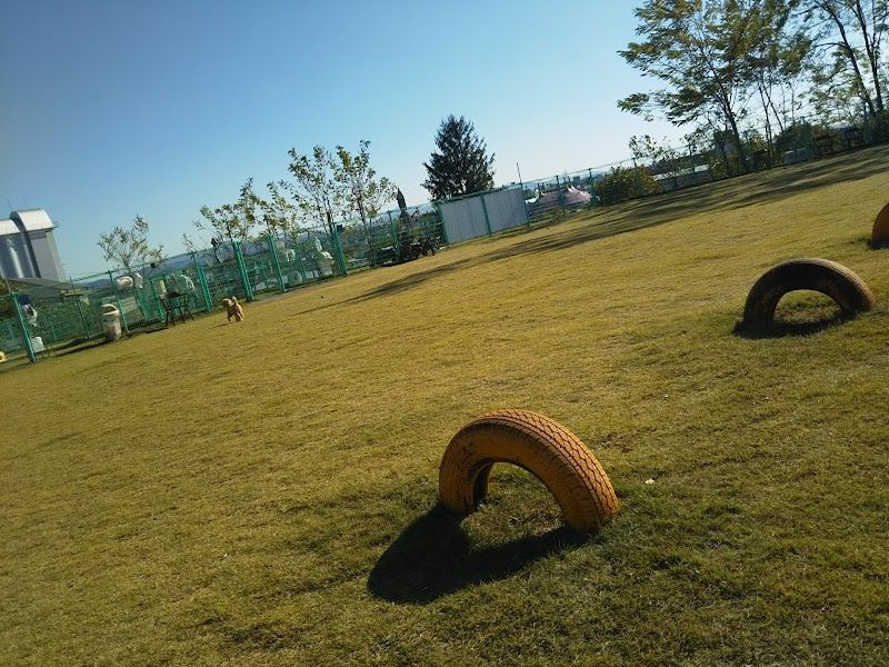 わんわんランドひわだの写真 3