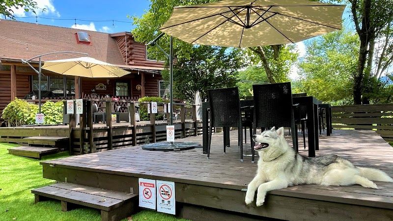 ペットと泊まれる宿 ペンション バーニーズの写真 1