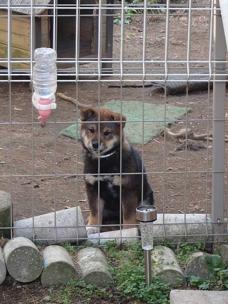 小笠原ペットショップの写真 1