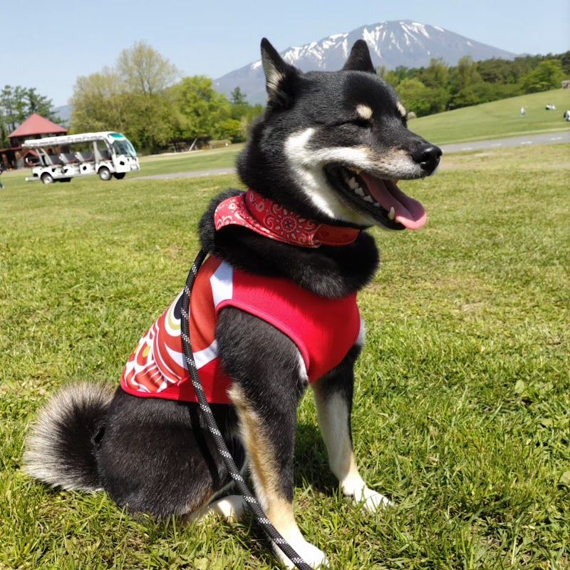 小岩井農場まきば園ドッグランの写真 2