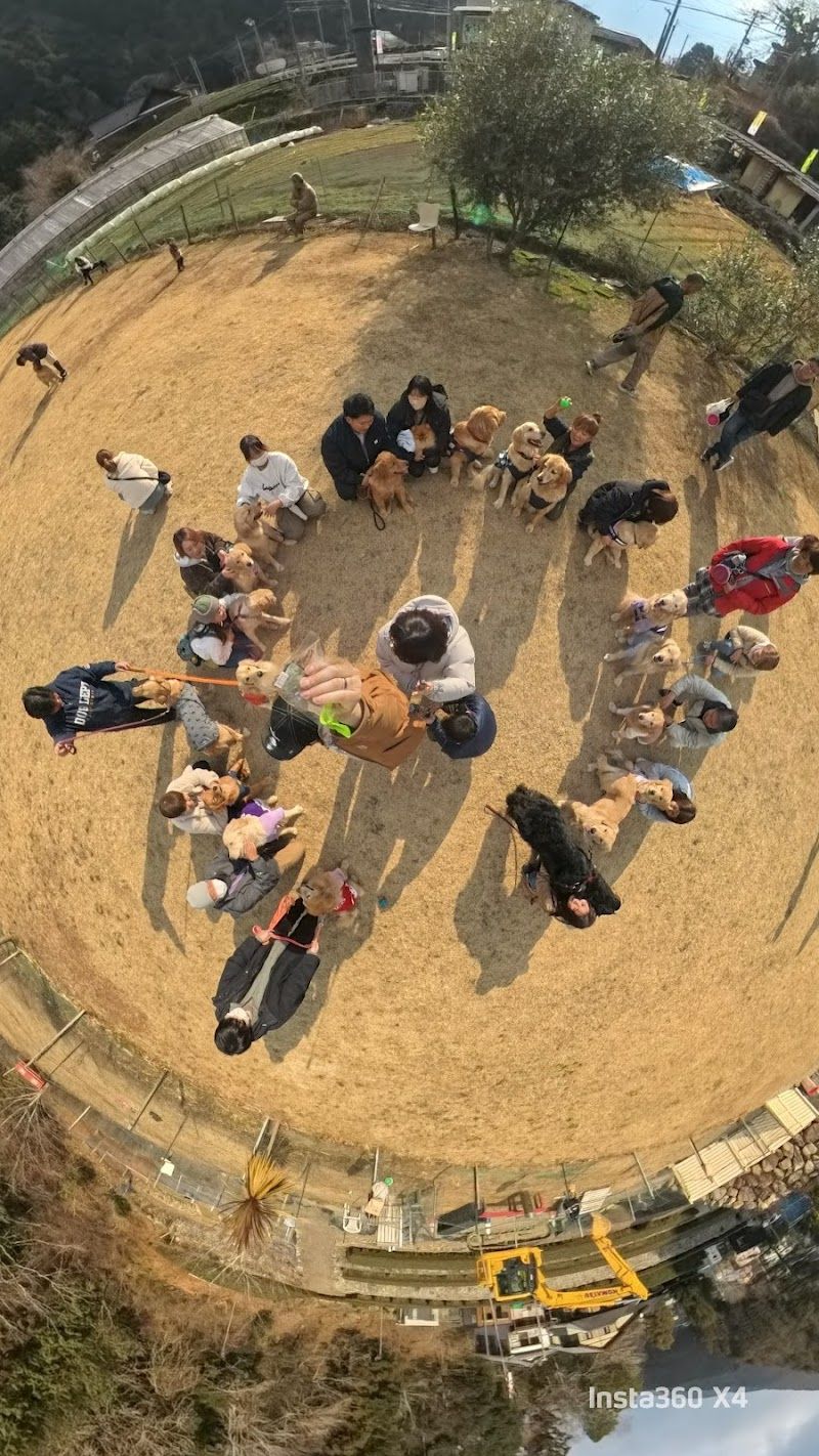 ドッグラン＆ドッグカフェ GOLDEN DOG FARmの写真 2