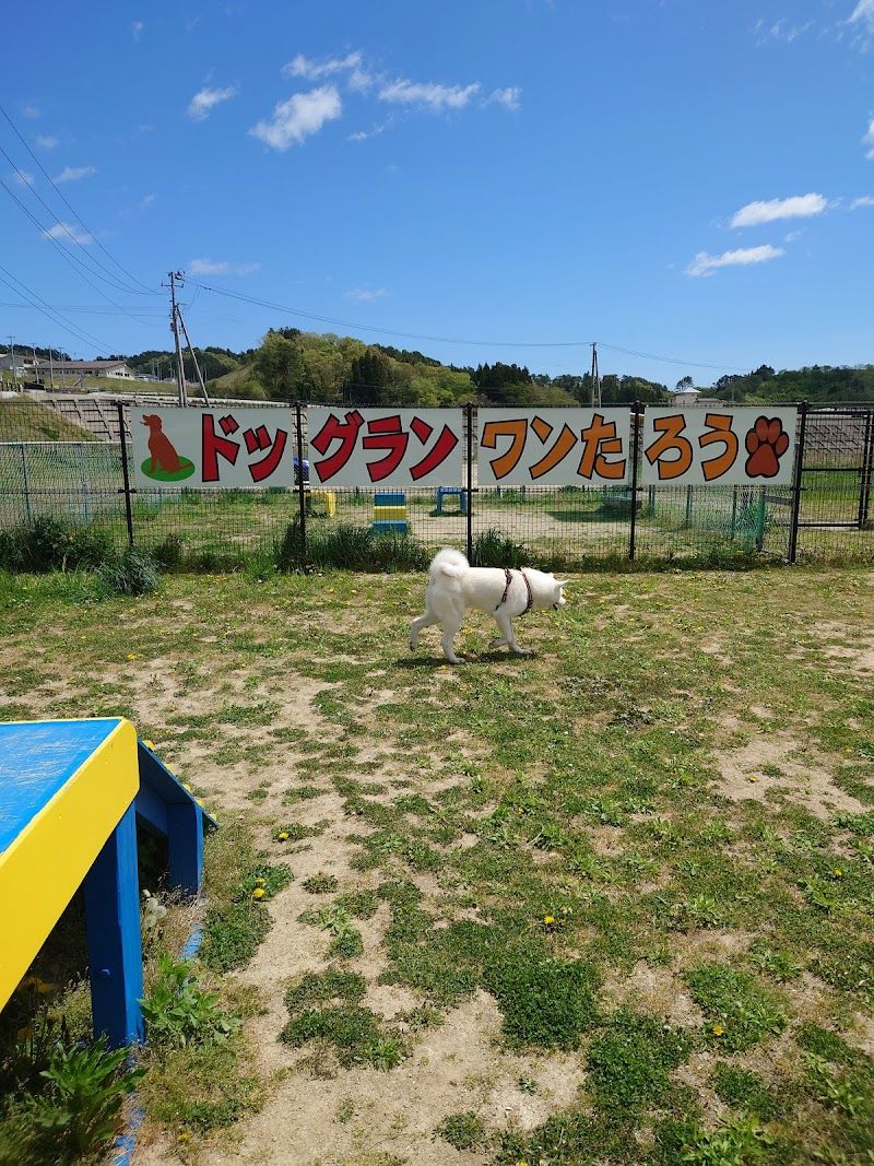 ドッグラン ワンたろうの写真 3