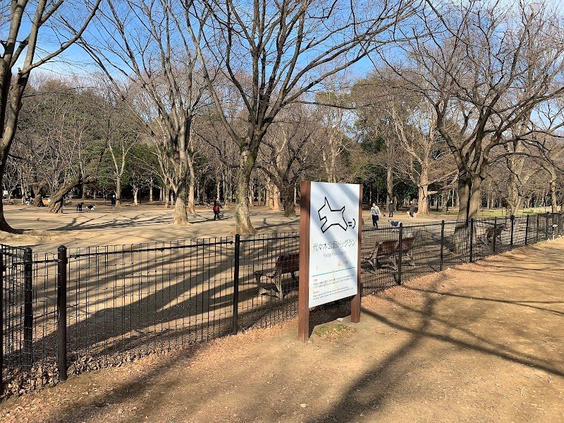 代々木公園 ドッグランの写真 3