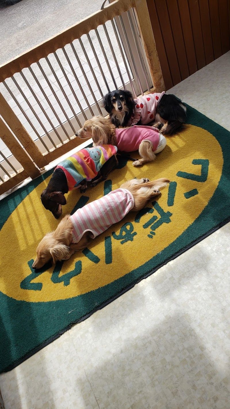 ワンだぁハウスランの写真 1