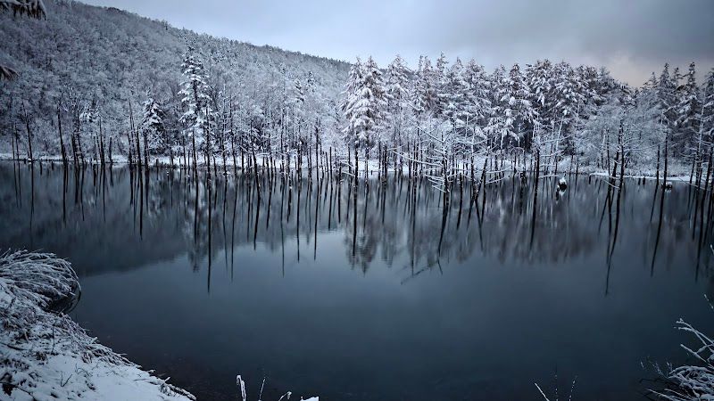 白金青い池の写真 3