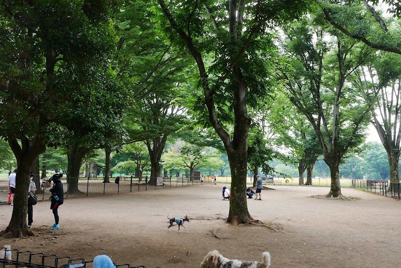 代々木公園 ドッグランの写真 1