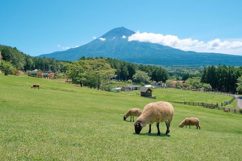 まかいの牧場の写真 1