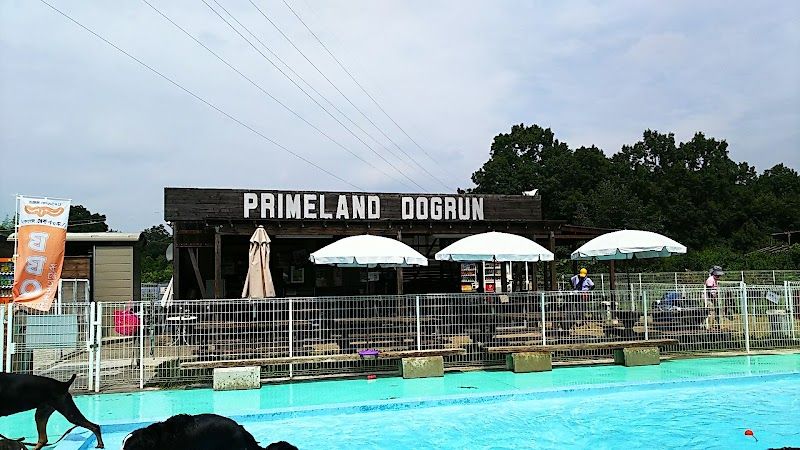 PRIMELAND ドッグランもろやまの写真 3