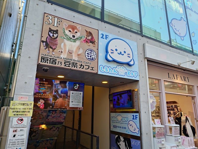 原宿乃豆柴カフェの写真 1