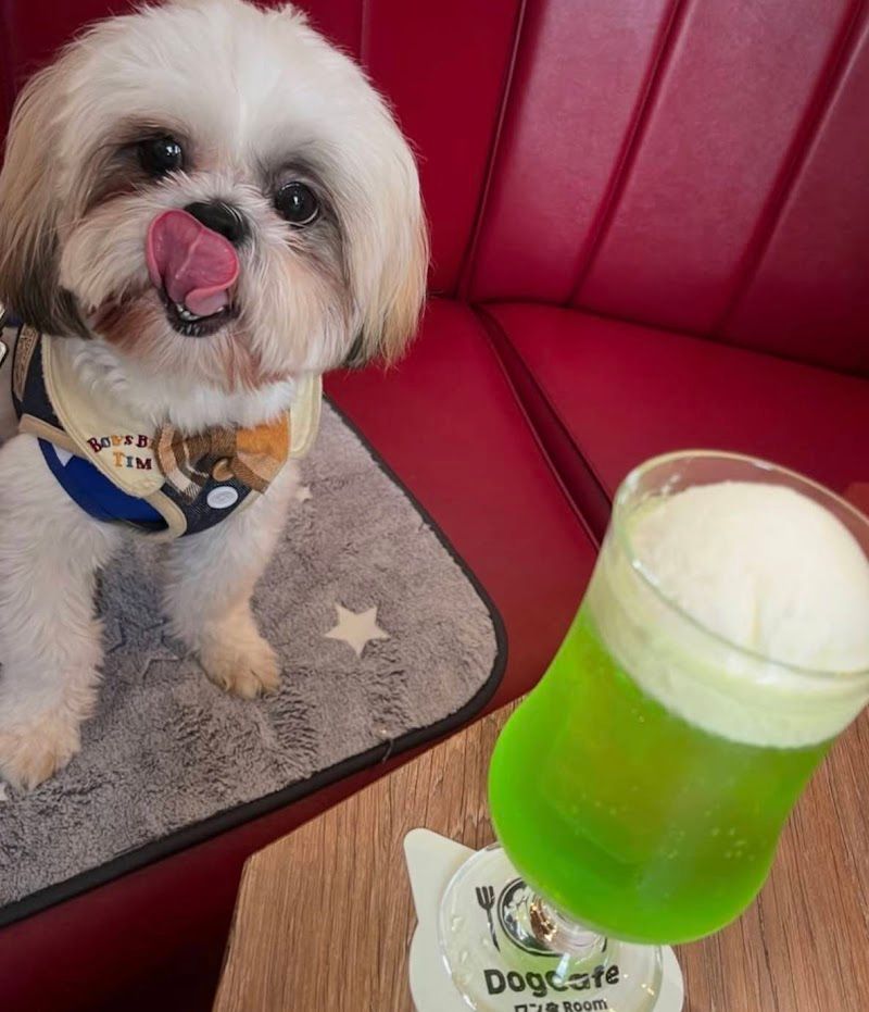 DogCafe ワンRoomの写真 2