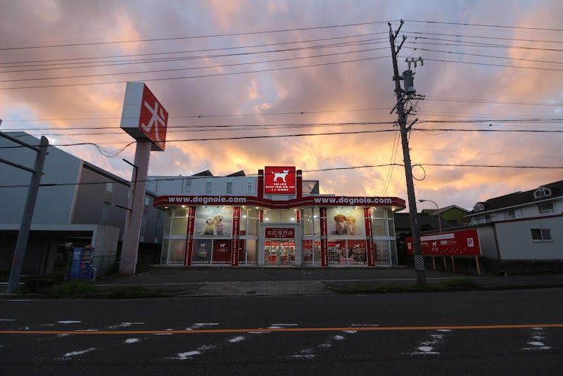 ペットショップ 犬の家&猫の里 愛知刈谷店の写真 1