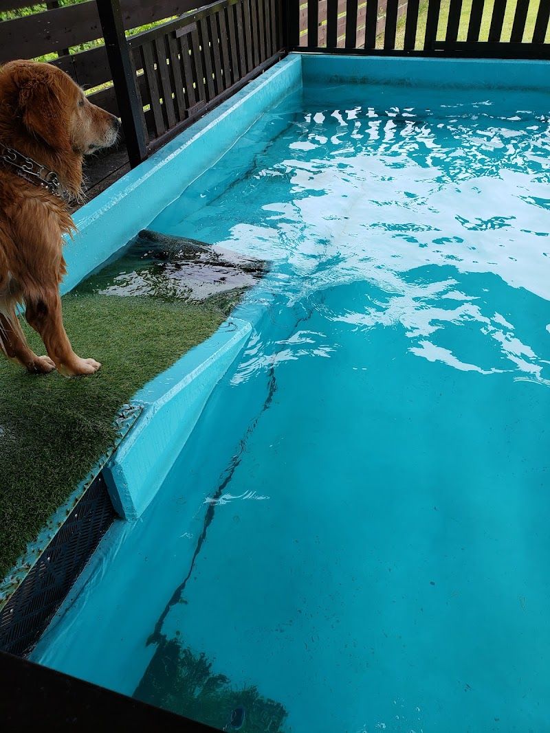 DOG RUN An.kareの写真 1
