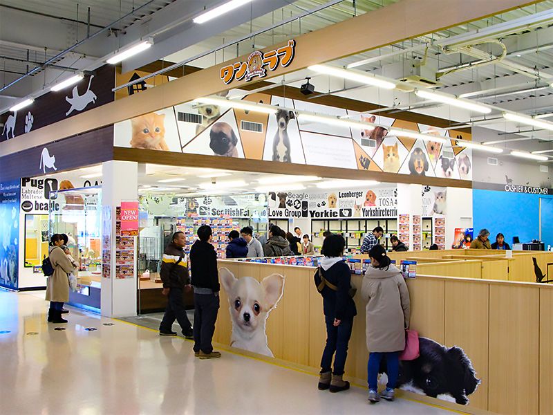 ペットショップワンラブ イオン石狩緑苑台店の写真 3