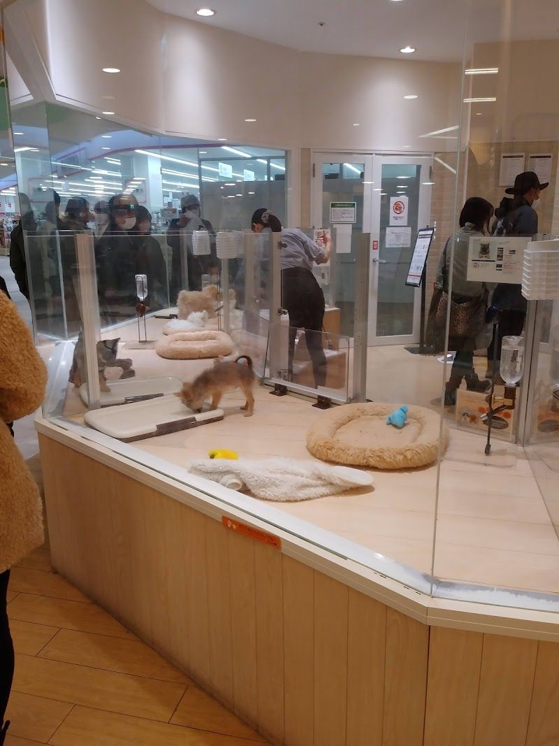 ペッツファースト 秋田店の写真 3