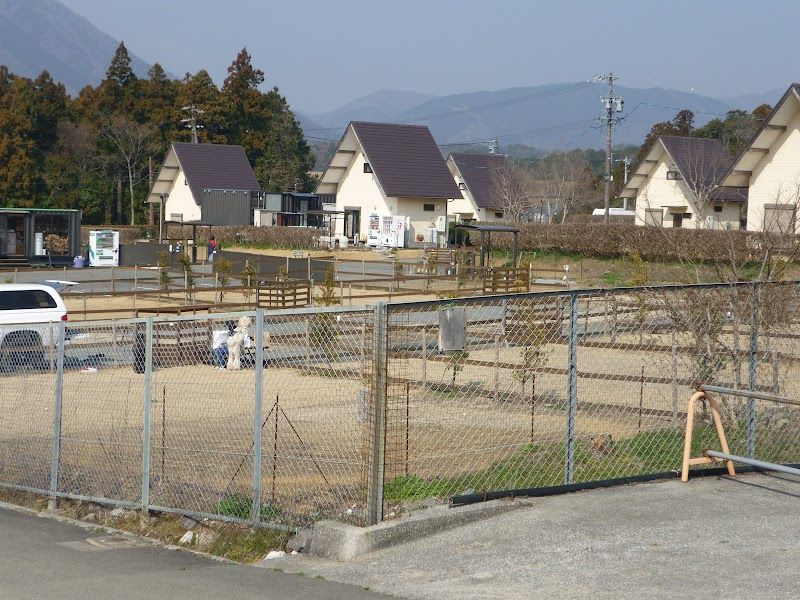 わんテラス ドッグランの写真 3