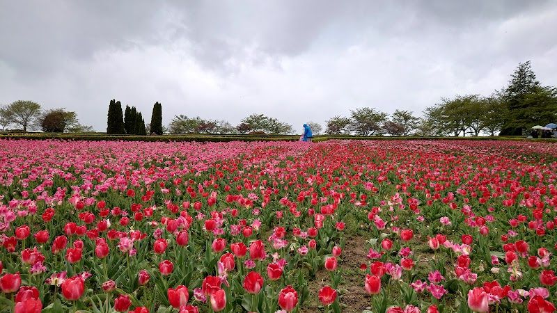 Ark館ヶ森の写真 2