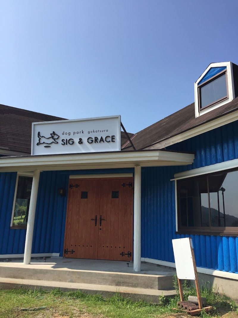 dog park sig&graceの写真 3