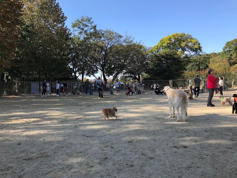 大高緑地 ドッグランの写真 2
