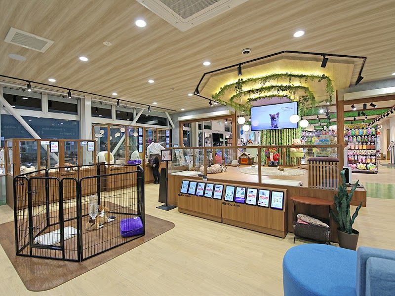 ペットショップCoo&RIKU 山形店の写真 3